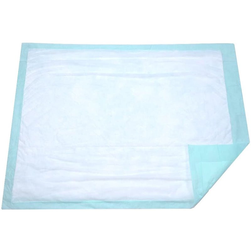 HOSPITAL PACK WATERPROOF DISPOSABLE UNDERPADS 10'S - Brydens Antigua